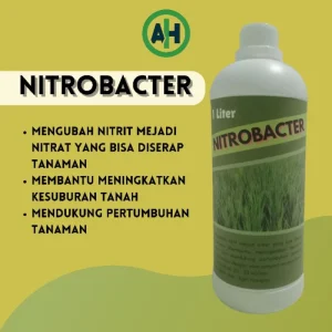 Inovasi Serikat Petani Pati: Produksi Pupuk Nitrobacter untuk Mengembalikan Kesuburan Tanah