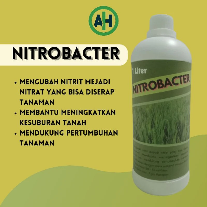 Inovasi Serikat Petani Pati: Produksi Pupuk Nitrobacter untuk Mengembalikan Kesuburan Tanah