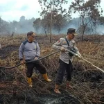 Kebakaran Hutan di Ungaran Barat: Penyebab dan Upaya Penanganan