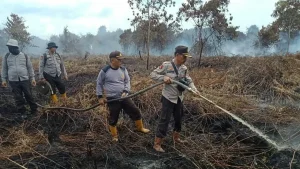 Kebakaran Hutan di Ungaran Barat: Penyebab dan Upaya Penanganan