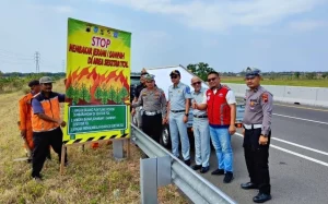 Kebakaran Menghancurkan Lahan Penghijauan di Tepi Tol KM 442 Bawen