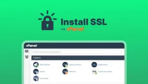 Panduan Lengkap Install SSL di cPanel