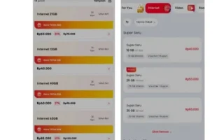 Telkomsel dan Indosat Ditemukan Belum Penuhi Putusan MK soal Rollover Kuota, Komdigi Beri Catatan Keras